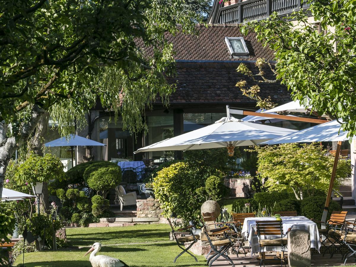 Hotel Des Berges, Restaurant Gastronomique & Spa イラウーゼルヌ エクステリア 写真